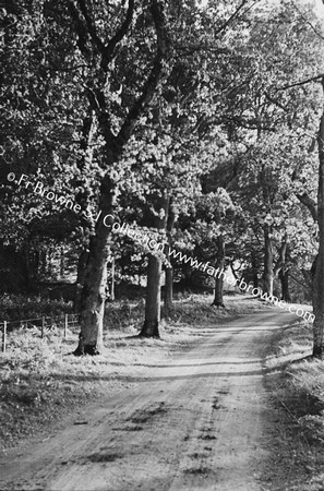 AVENUE AT QUARRY HILL